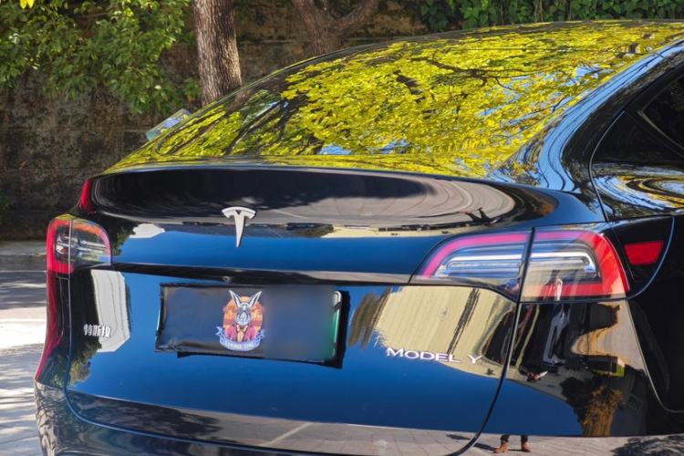 Used Tesla Model Y 2022 Rear-Wheel-Drive Version