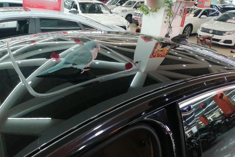 Used Buick Regal 2019 20T Elite Version China VI Standard
