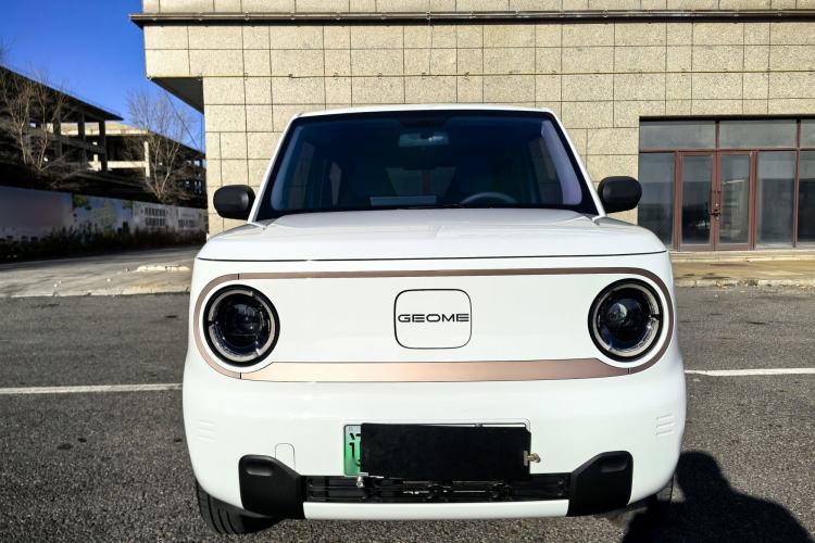 Used  Panda 2024 Panda Mini 200km Endurance Bear
