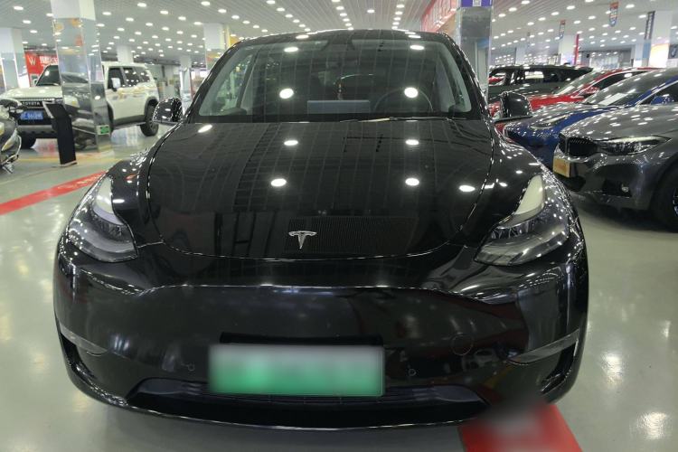 Used Tesla Model Y 2021 Standard Range Rear-Wheel Drive Version
