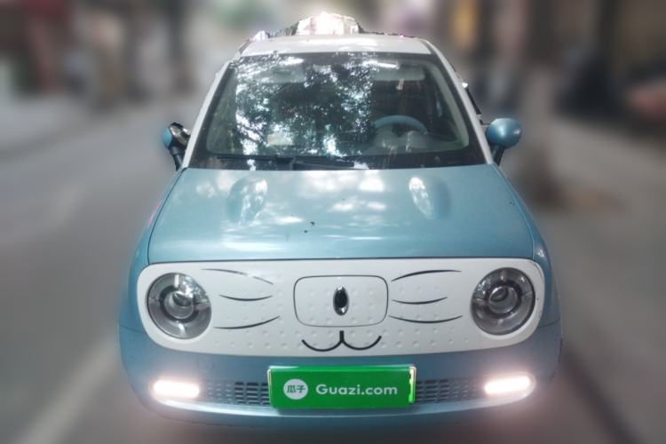 Used ORA Black Cat 2019 351 km Goddess Edition
