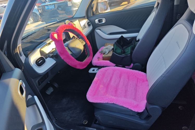 Used  Panda 2025 210km Panda Kart
