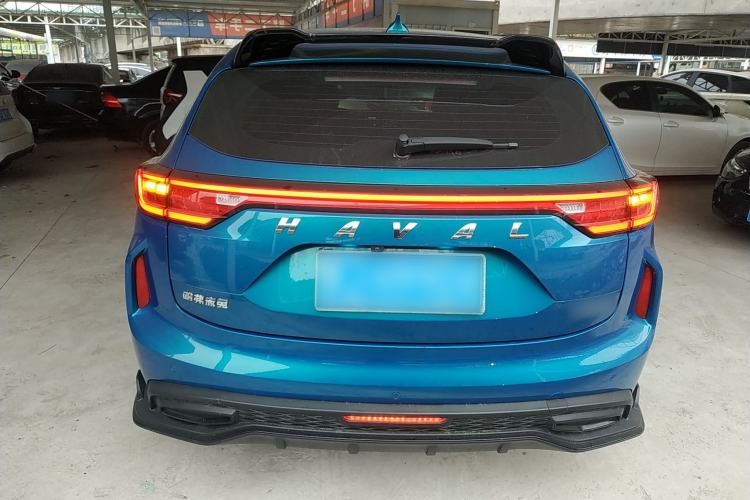 Used Haval LHERY 2021 High-Performance Version 1.5T Golden Rabbit
