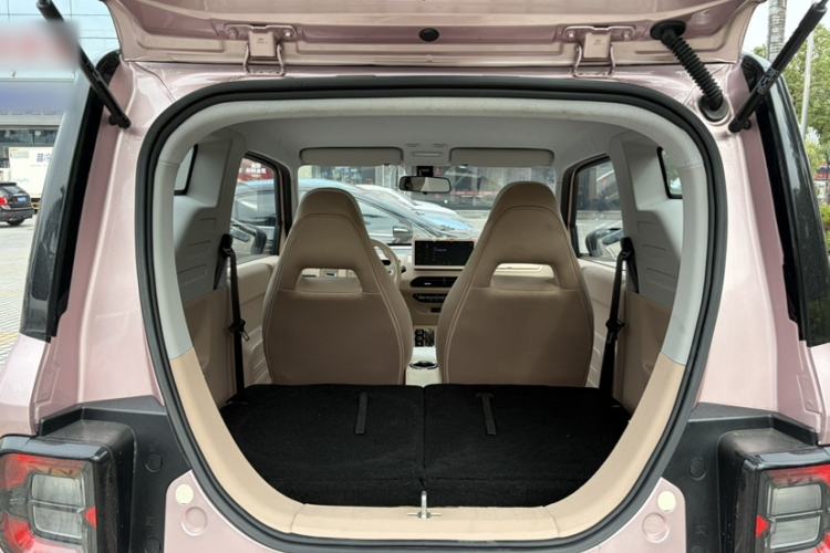 Used  Panda 2023 Panda Mini 200km Endurance Bear
