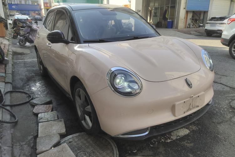 Used ORA Good Cat 2022 400km Standard Range Luxury Version Lithium Iron Phosphate