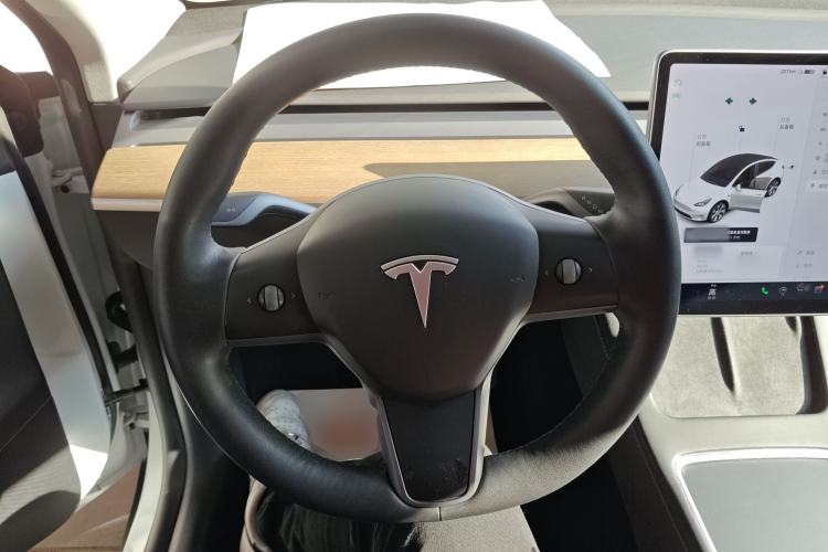 Used Tesla Model Y 2021 Standard Range Rear-Wheel Drive Version
