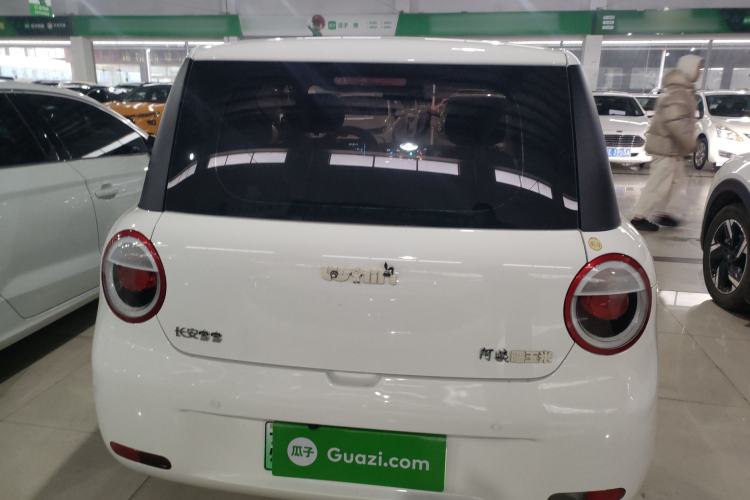 Used  Lumin 2023 205km Xiangqin Version
