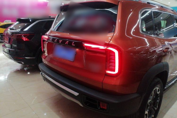 Used Haval DARGO 2021 2.0T DCT 4x4 Chinese Rural Dog Edition