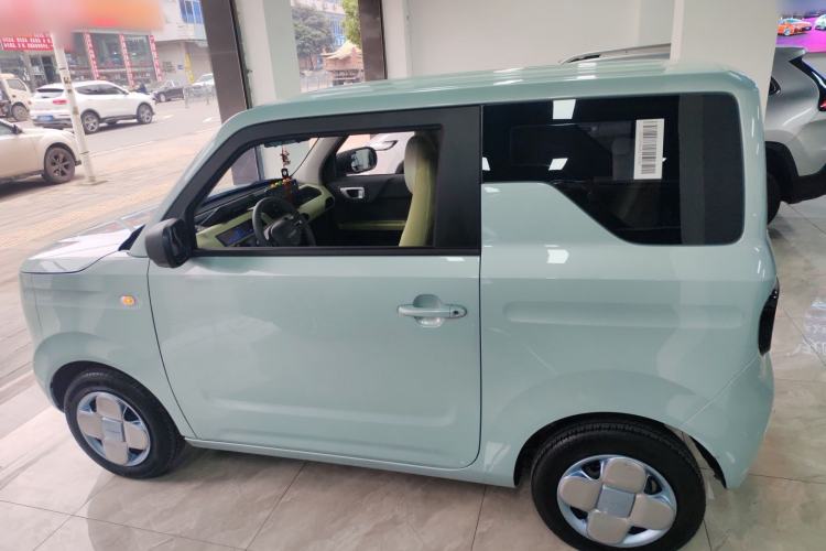 Used  Panda 2024 Panda Mini 200km Endurance Bear
