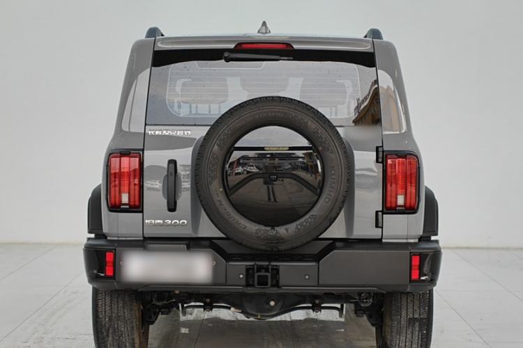 Used Tank 300 2024 2.0T Conqueror
