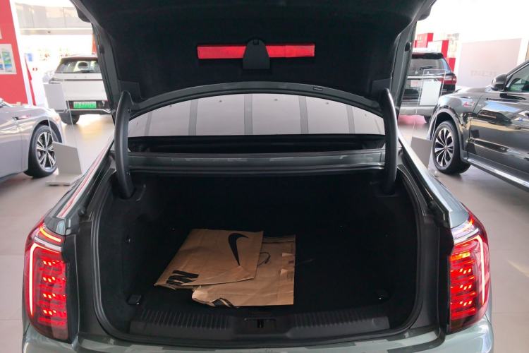 Used Hongqi H9 2024 2.0T Qixiang Private Style Edition
