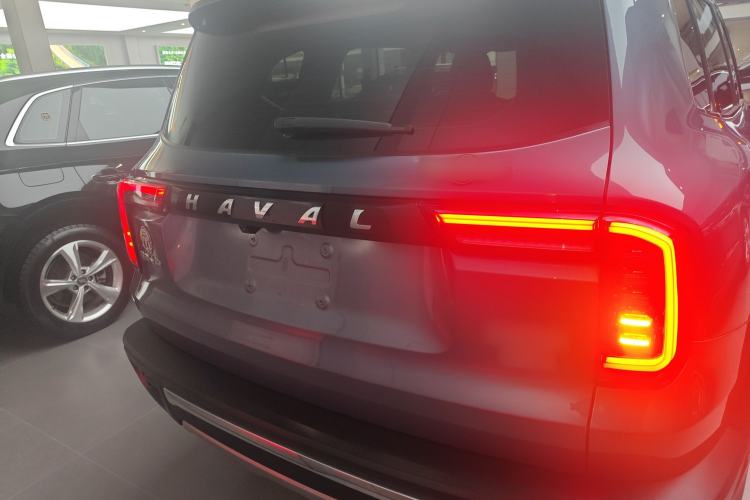 Used Haval DARGO 2021 2.0T DCT 4x4 Chinese Rural Dog Edition