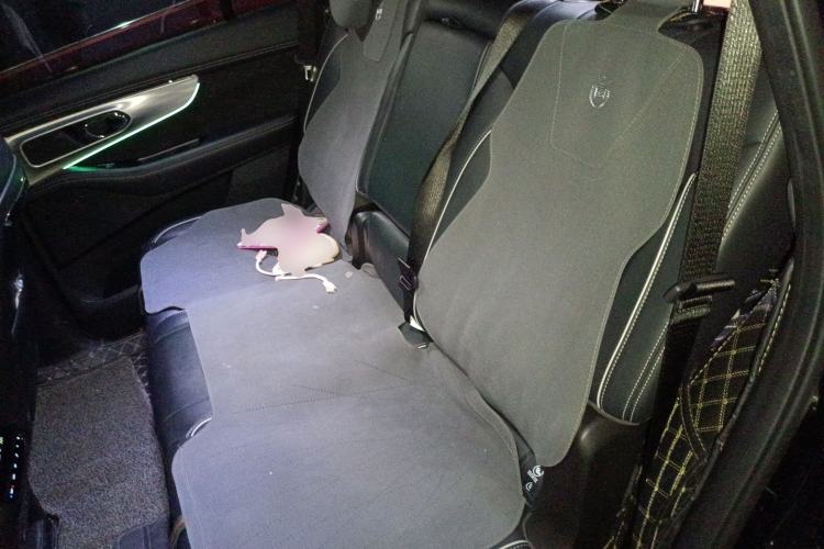 Used GAC Trumpchi GS8 2022 Dual-Engine Series 2.0TM Two-Wheel Drive Prestige Edition (7 Seats)
