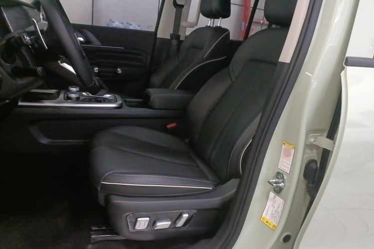 Used Tank 300 2024 2.0T Crosser
