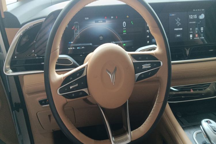 Used VOYAH Dream 2024 PHEV Extended-Range Premium Edition
