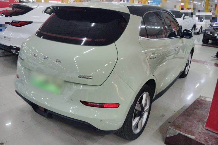 Used ORA Good Cat 2023 401 km Standard Range Luxury Version Lithium Iron Phosphate
