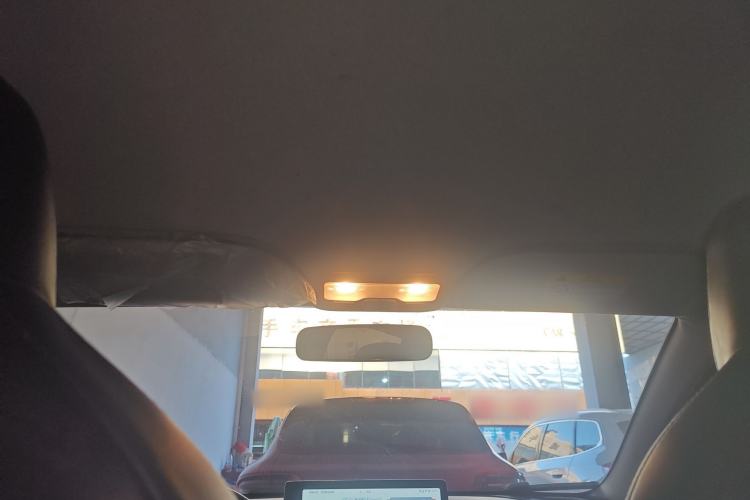 Used SOL E10X 2022 Flower Fairy Style Baby's Breath
