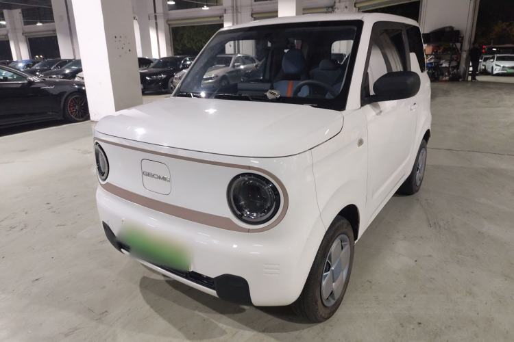 Used  Panda 2023 Panda Mini 200km Endurance Bear
