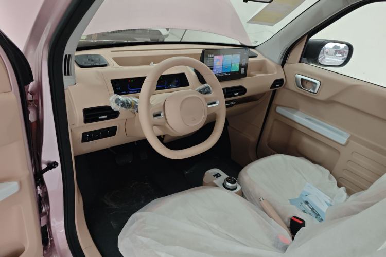 Used  Panda 2024 Panda Mini 200km Endurance Bear