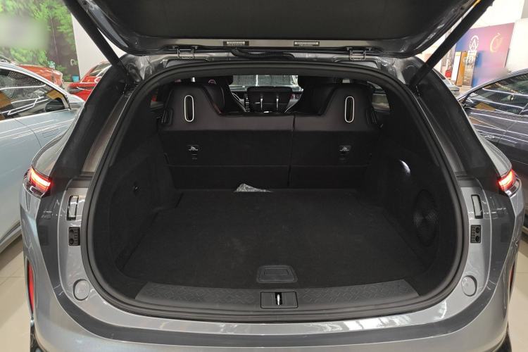 Used  07 2024 Max Extended-Range Edition
