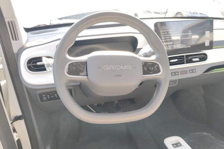 Used  Panda 2025 210 km – Yuanqi Bear
