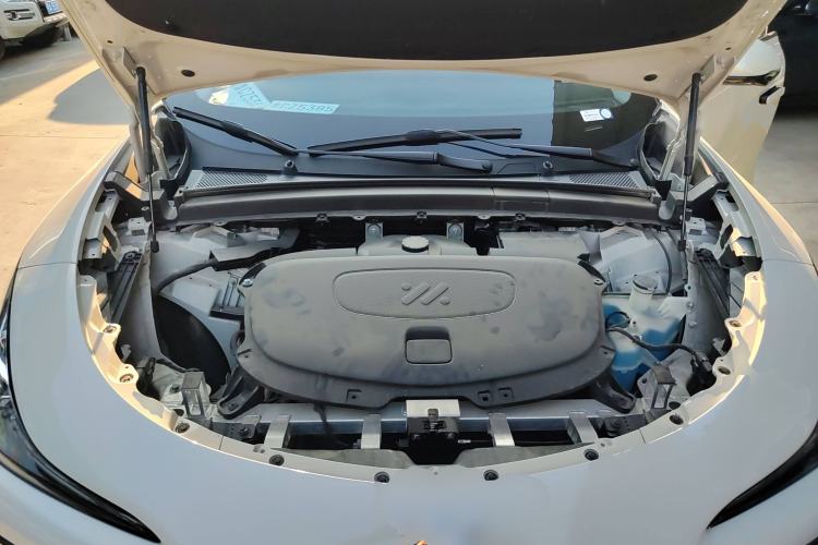 Used  LS6 2023 Max Long-Range Version
