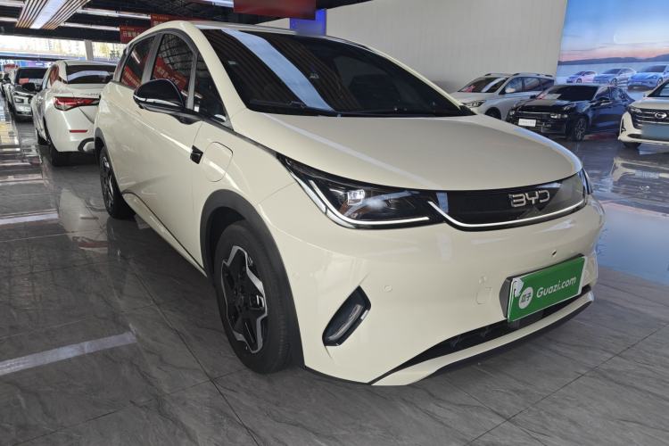 Used BYD Dolphin 2025 Smart Drive Version 420 km Freedom Edition
