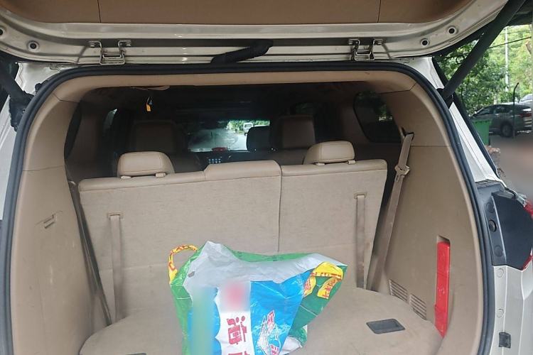 Used Buick GL8 2017 ES 28T Luxury Model China V Standard
