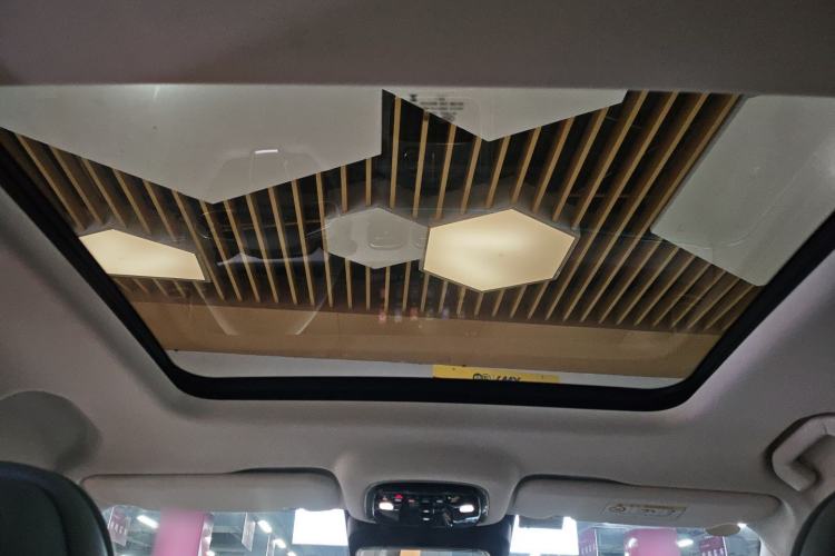 Used Chery Fengyun T10 2024 210 Luxury Edition
