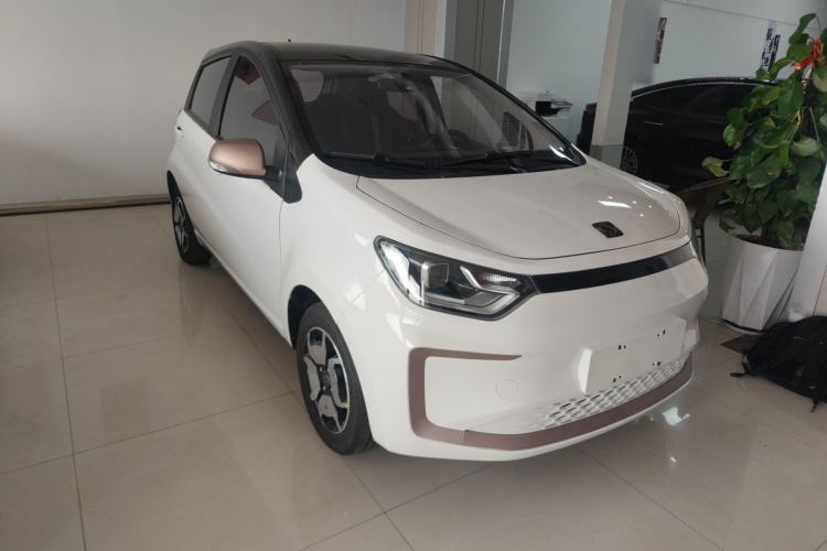 Used SOL E10X 2022 Flower Fairy Design Four-Leaf Clover