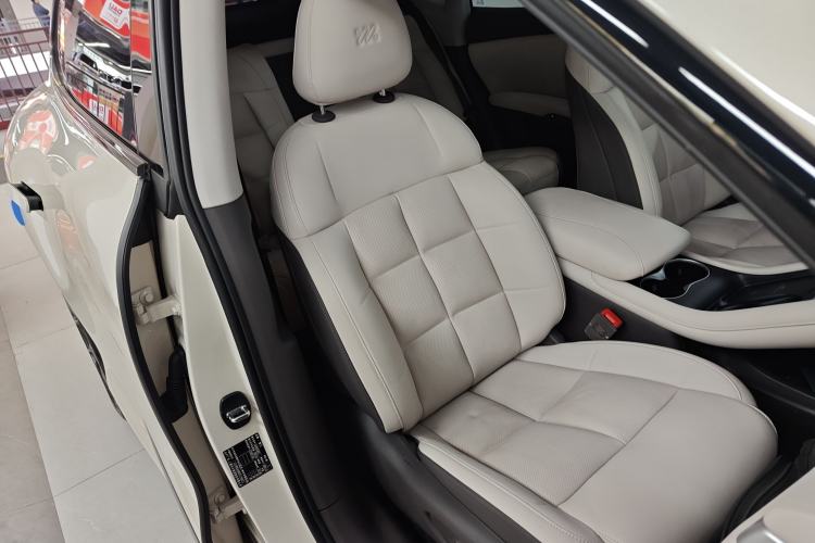 Used  LS6 2023 Max Standard Edition
