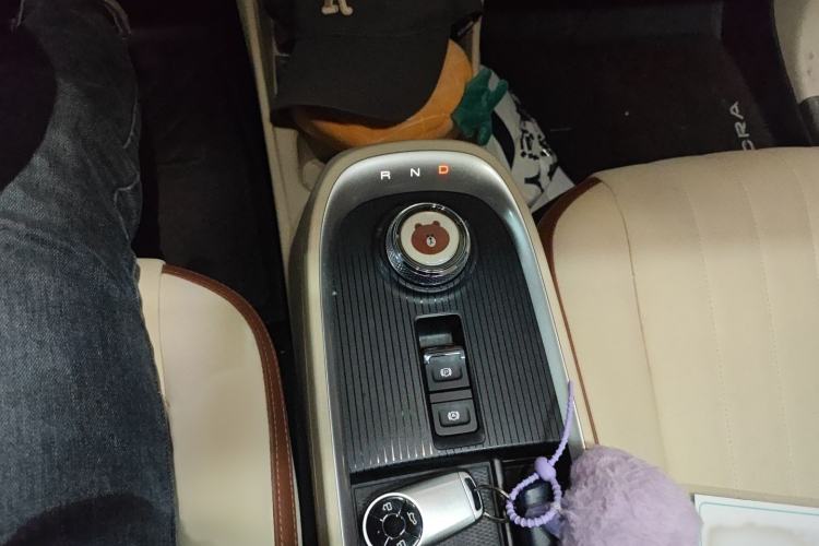 Used ORA Good Cat 2021 500km Long-Range Poseidon Edition Lithium-Ion Battery
