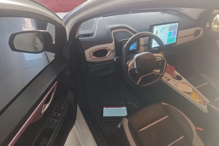 Used SOL E10X 2022 Flower Fairy Style Baby's Breath
