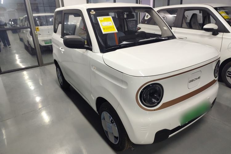 Used  Panda 2025 210 km – Yuanqi Bear

