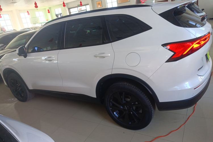 Used Haval H6 2024 1.5T Two-Wheel Drive Max
