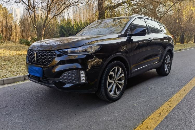 Used Wey VV6 2020 2.0T Two-Wheel Drive Smart Protection+