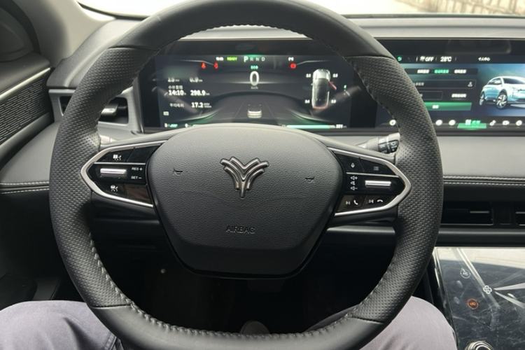 Used NETA U 2021 Pro 400 Cruiser Edition
