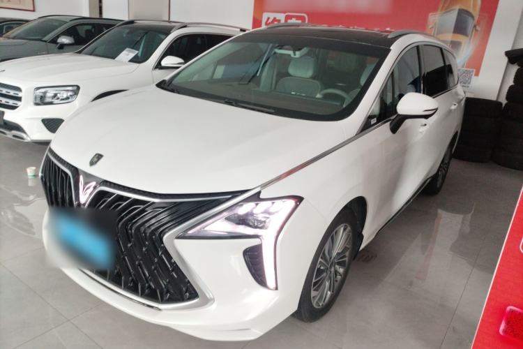 Used FORTHING Yacht 2024 1.5T DCT Guanhai Edition