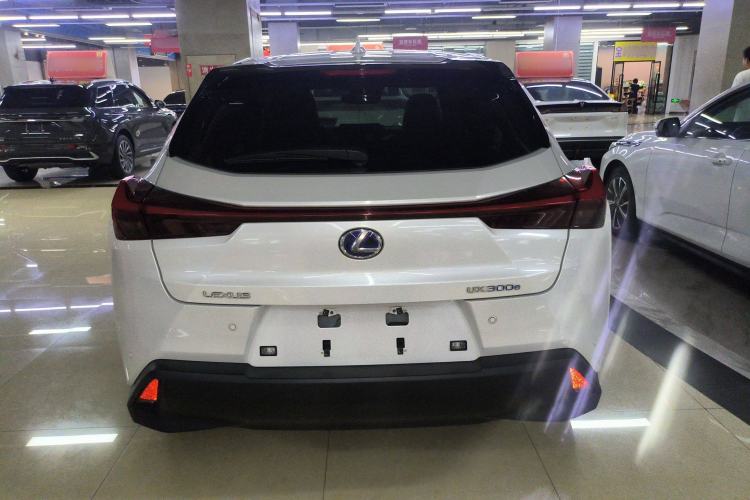 Used Lexus UX New Energy 2020 300e Pure·Joy Edition
