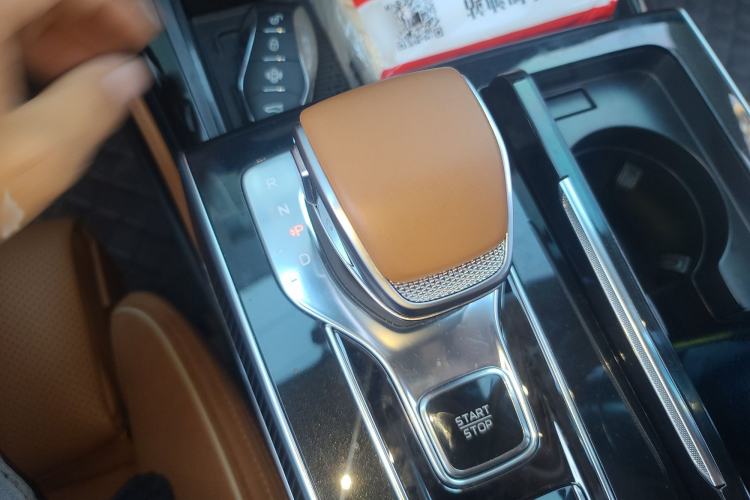 Used Hongqi H9 2024 2.0T Qixiang Private Style Edition