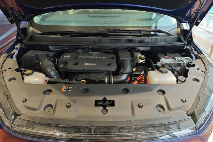 Used Buick GL8 New Energy 2024 Lu Zun Luxury Edition 6-Seater
