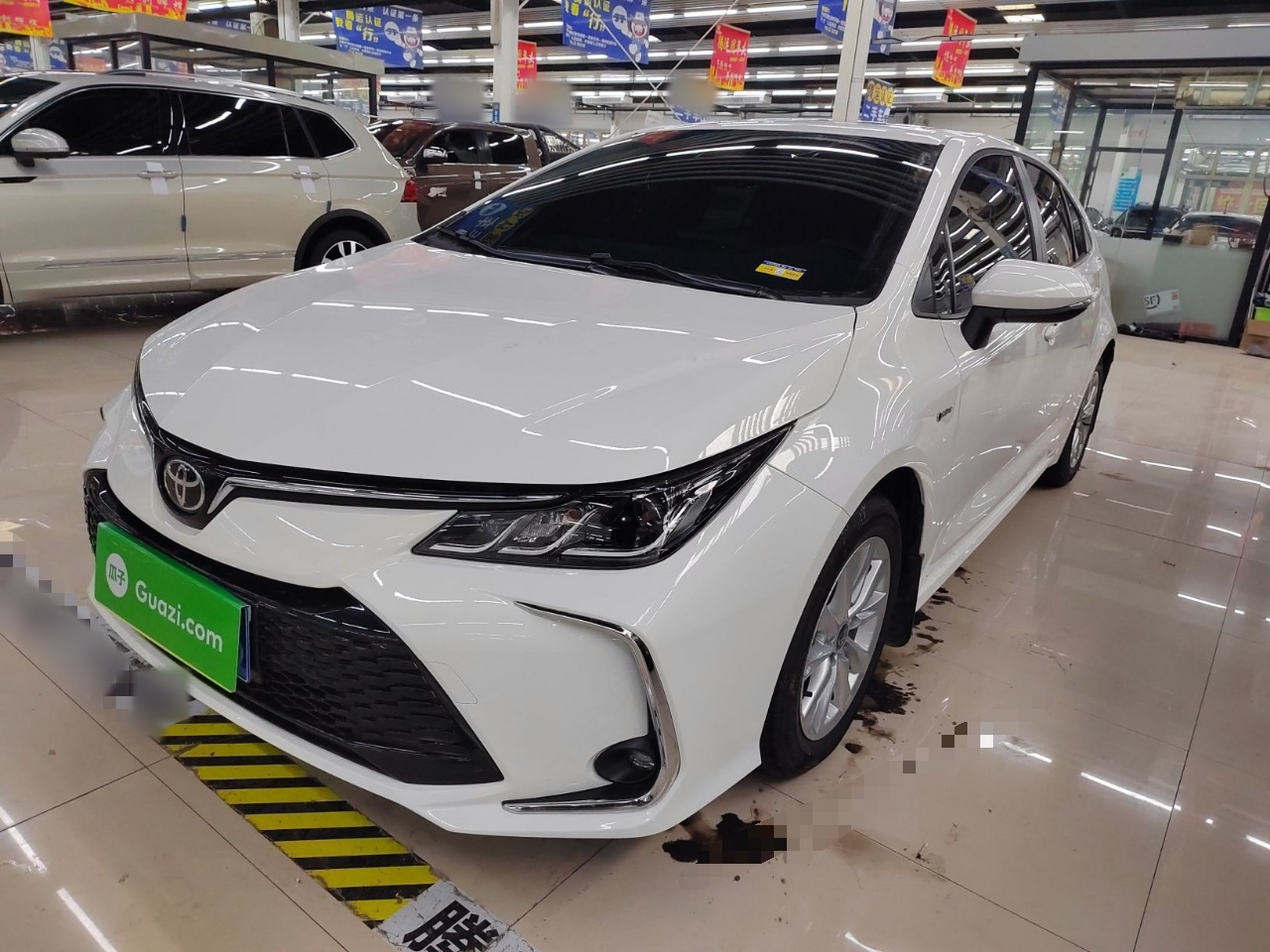 تحت مقدمة السيارة