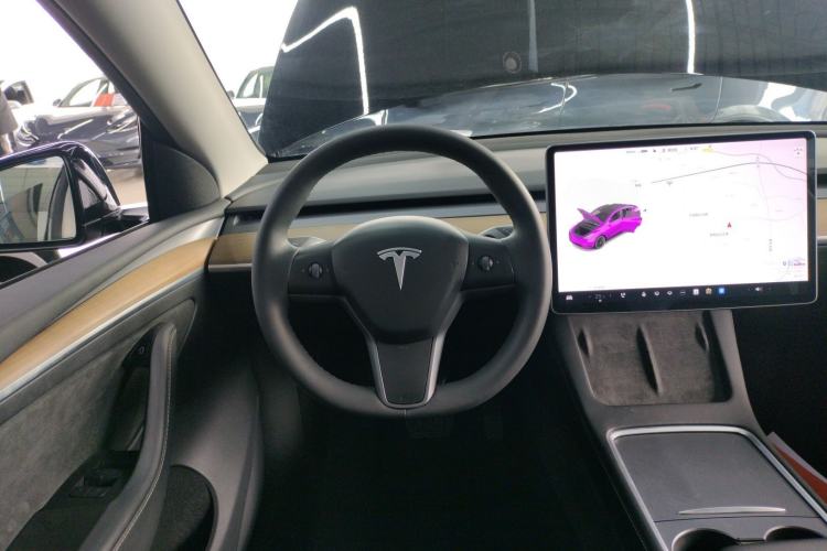 Used Tesla Model Y 2021 Standard Range Rear-Wheel Drive Version
