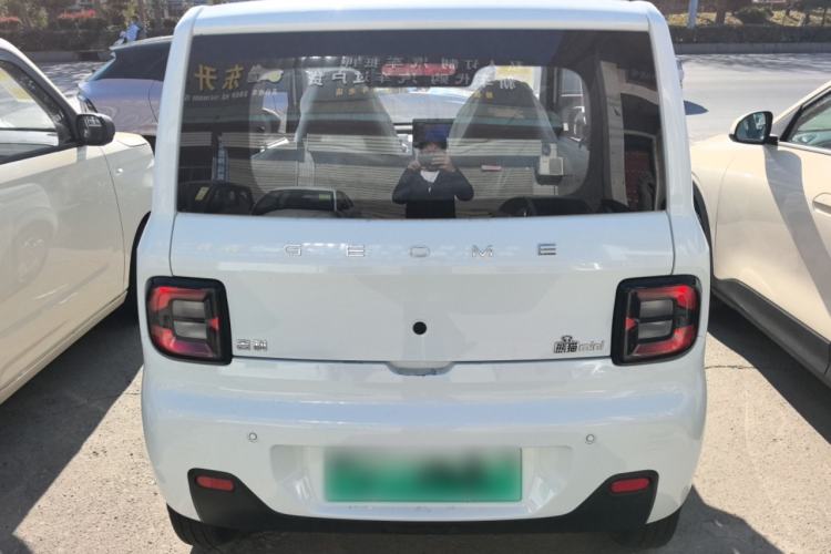 Used  Panda 2024 Panda Mini 200km Endurance Bear
