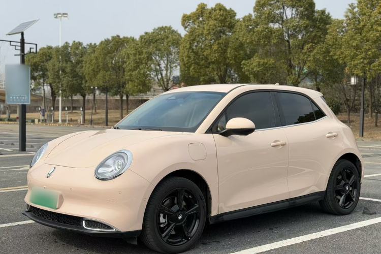 Used ORA Good Cat 2024 401 km Luxury Version 126 kW