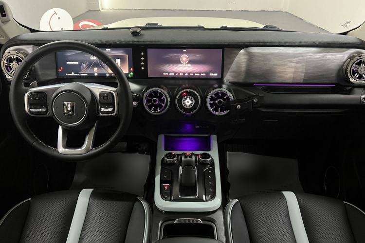 Used Tank 300 2021 City Edition 2.0T Essential Model