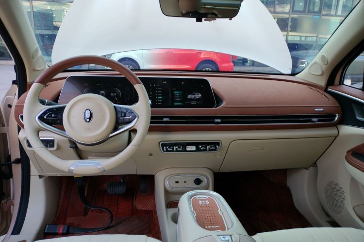 Used ORA Good Cat 2024 401 km Luxury Version
