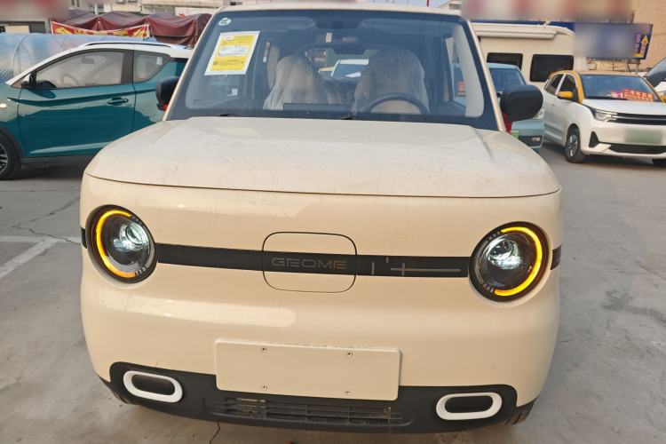 Used  Panda 2025 210 km – Yuanqi Bear
