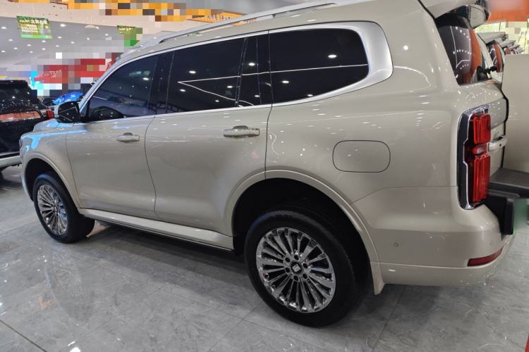 Used Tank 500 New Energy 2023 Hi4-T
