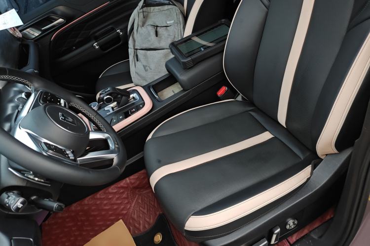 Used Tank 300 2021 City Edition 2.0T—Truly Stylish
